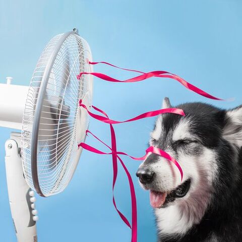 Illustratie bij: Eenvoudiger krijg je het niet: zó maak je van je ventilator een airco